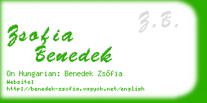 zsofia benedek business card